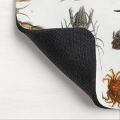 節足動物 マウスパッド (コーナー)