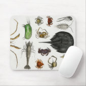 節足動物 マウスパッド (マウス)