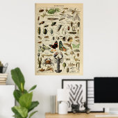 節足動物 – 無脊椎動物のコレクション ポスター (ホームオフィス)