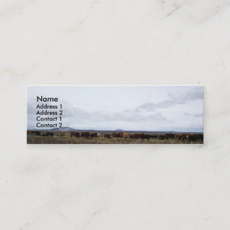 範囲のプロフィールカード スキニー名刺