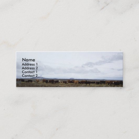 範囲のプロフィールカード スキニー名刺 (正面)