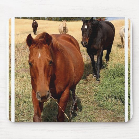 範囲のマウスパッドの家 マウスパッド (正面)