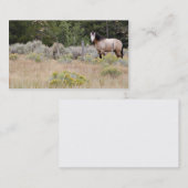 範囲の馬の名刺 名刺 (正面/裏面)