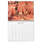 築地2025 カレンダー (3月 2026)