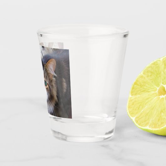 簡単に独自の追加フォトカスタム ショットグラス (右)