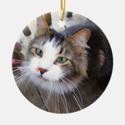 簡単に自分で作成する2枚の写真を追加カスタムセラミック セラミックオーナメント (正面)