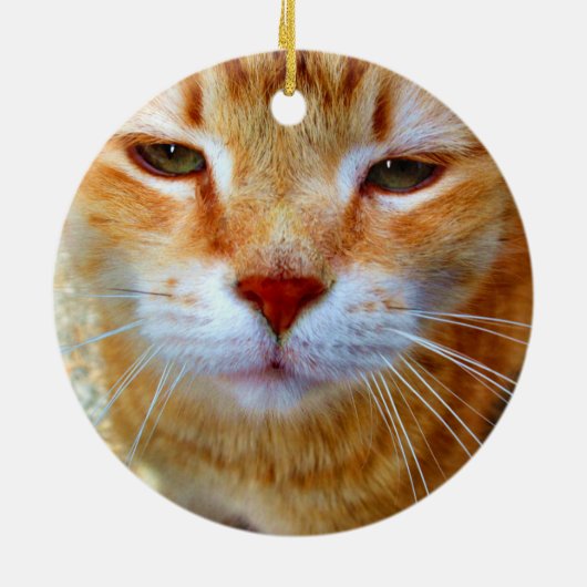 簡単に自分で作成する2枚の写真を追加カスタムセラミック セラミックオーナメント (裏面)