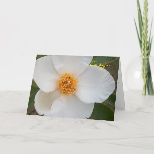 簡単はあります カード (正面)