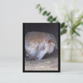 簡単はがき ポストカード (スタンド正面)