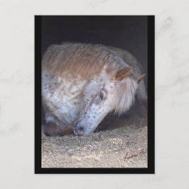 簡単はがき ポストカード