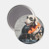 簡単ライダー マグネット (正面/裏面)