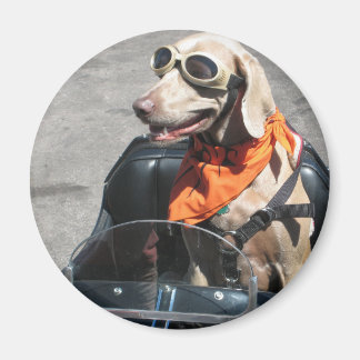 簡単ライダー マグネット