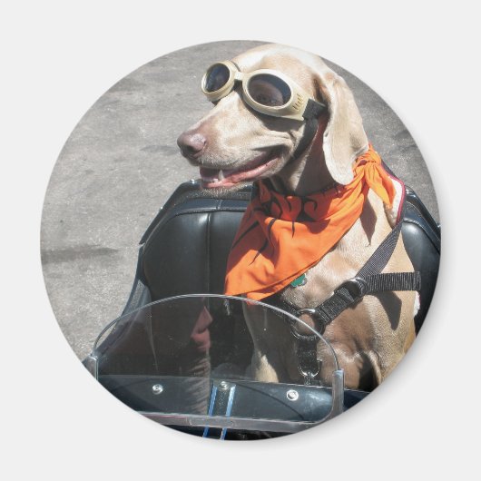 簡単ライダー マグネット (正面)