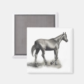 簡単午後 マグネット (正面/裏面)