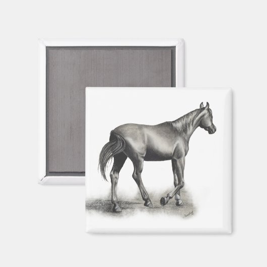 簡単午後 マグネット (正面/裏面)