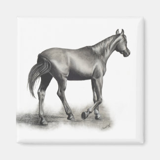 簡単午後 マグネット