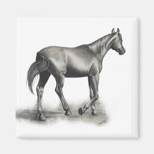 簡単午後 マグネット (正面)