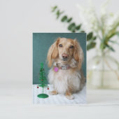 籐のテーブルの上に座っている長髪のダシュント ポストカード (スタンド正面)