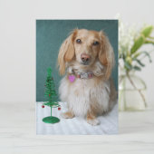 籐のテーブルの上に座っている長髪のダックスフント 招待状 (スタンド正面)