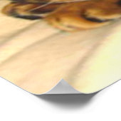 籐椅子で眠っている猫 ポスター (角)