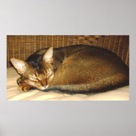 籐椅子で眠っている猫 ポスター