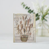 籠から逃げる魚の姿を描いた舗装 ポストカード (スタンド正面)