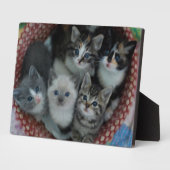 籠の子猫 フォトプラーク (側面)