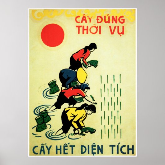 米を栽培するベトナムファーム農業プロパガンダ ポスター (正面)
