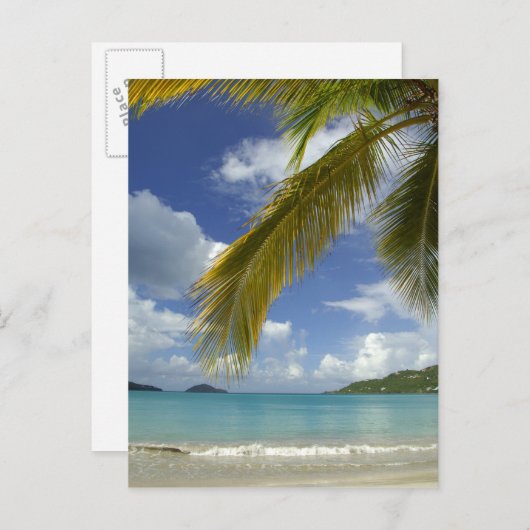 米カリブのヴァージン諸島、セントトーマス島、 ポストカード (正面/裏面)