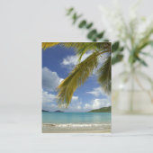 米カリブのヴァージン諸島、セントトーマス島、 ポストカード (スタンド正面)