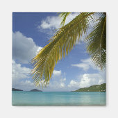 米カリブのヴァージン諸島、セントトーマス島、 マグネット (正面)