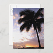 米カリブのヴァージン諸島,セントトーマス, 3 ポストカード (正面/裏面)