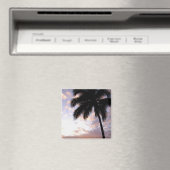 米カリブのヴァージン諸島,セントトーマス, 3 マグネット (インサイチュ (食洗機))