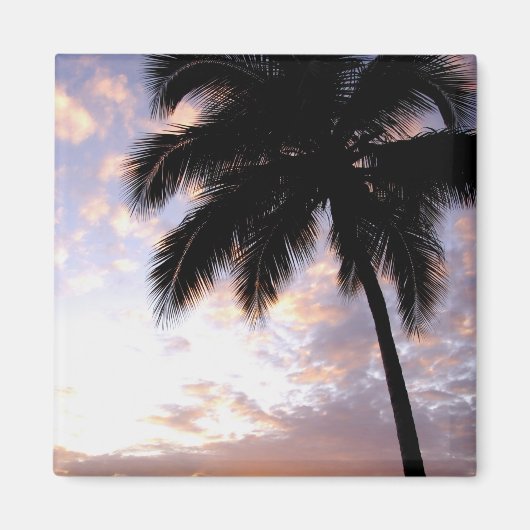 米カリブのヴァージン諸島,セントトーマス, 3 マグネット (正面)