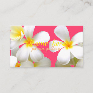 米スタンダード 8.89cm x 5.08cm名刺 名刺