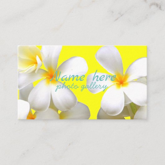 米スタンダード 8.89cm x 5.08cm名刺 名刺 (正面)