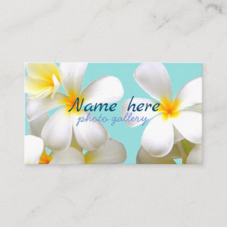 米スタンダード 8.89cm x 5.08cm名刺 名刺