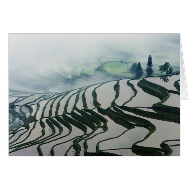 米分野の上の朝の霧 (正面横)