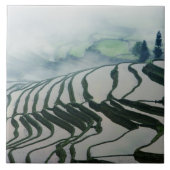 米分野の上の朝の霧 タイル (正面)