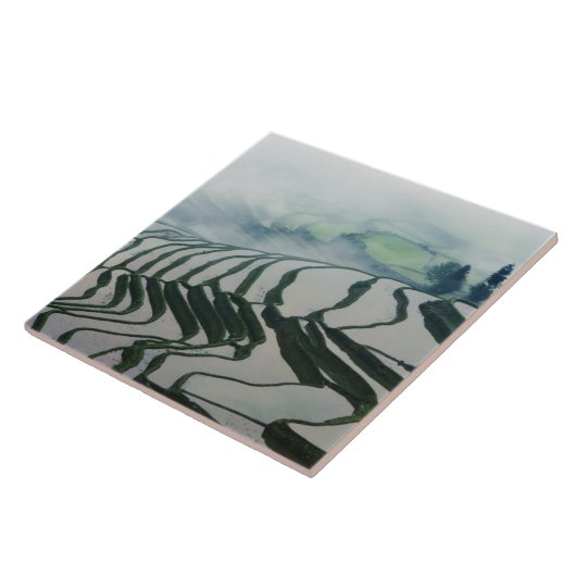 米分野の上の朝の霧 タイル (側面)