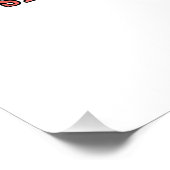 米国おもしろい国旗 ポスター (コーナー)