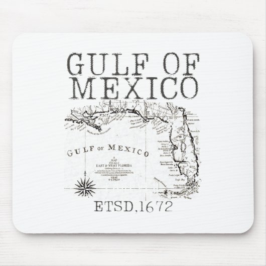 米国おもしろい湾メキシコ湾国旗の地図 マウスパッド (正面)