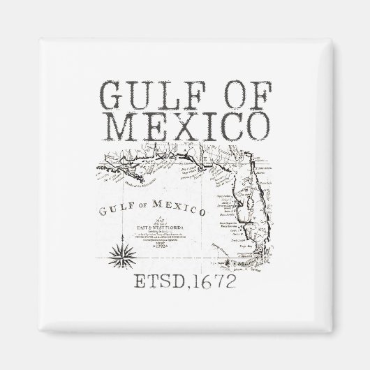 米国おもしろい湾メキシコ湾国旗の地図 マグネット (正面)