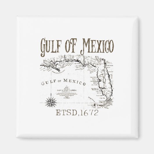 米国おもしろい湾メキシコ湾国旗の地図 マグネット (正面)