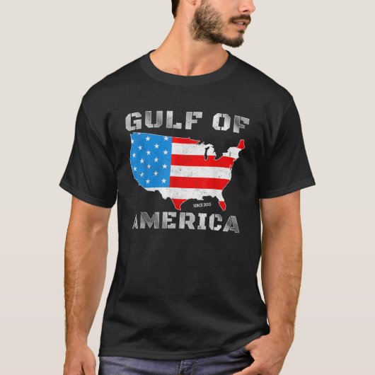 米国おもしろい湾愛国的レトロヴィンテージ Tシャツ (正面)