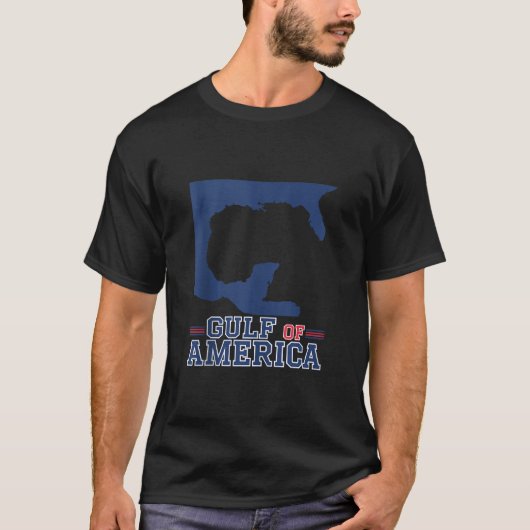 米国おもしろい湾7月4日 Tシャツ (正面)