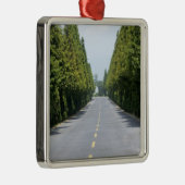 米国のイエローストーン国立公園、並木の道 メタルオーナメント (右)