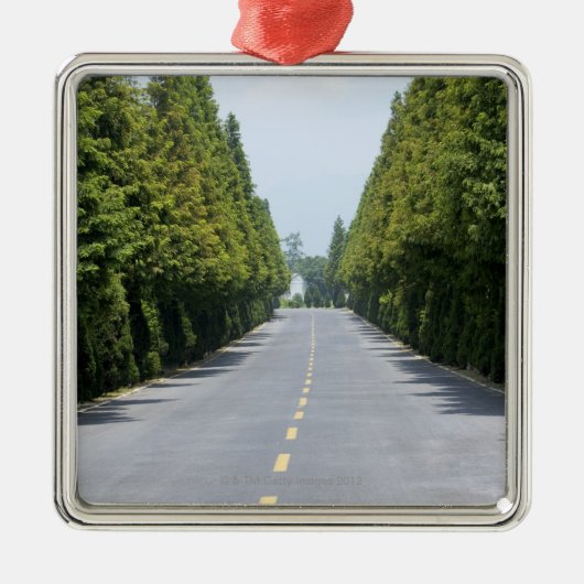 米国のイエローストーン国立公園、並木の道 メタルオーナメント (正面)