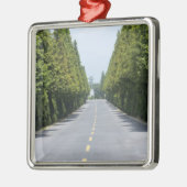 米国のイエローストーン国立公園、並木の道 メタルオーナメント (左)