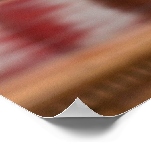 米国のオバマ大統領 ポスター (角)